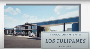 Fraccionamiento Tulipanes: Una comunidad vibrante en crecimiento